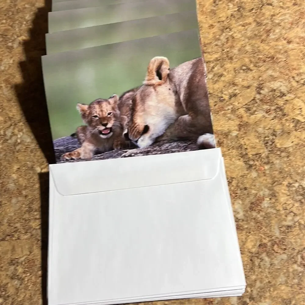 Lion and Baby Cub Blank Folded Note Cards with White Envelopes Set of 10 NEW